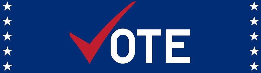 vote 2024